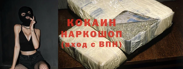 хмурый Алексин