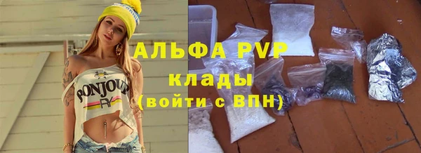 хмурый Алексин
