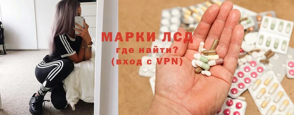 хмурый Алексин