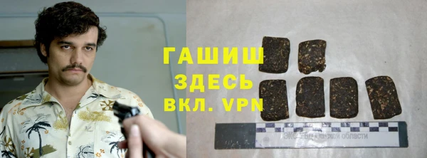хмурый Алексин