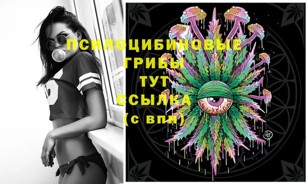 хмурый Алексин