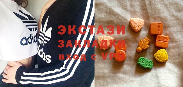 хмурый Алексин