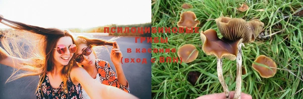 бутират Алексеевка