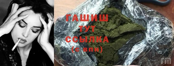 хмурый Алексин